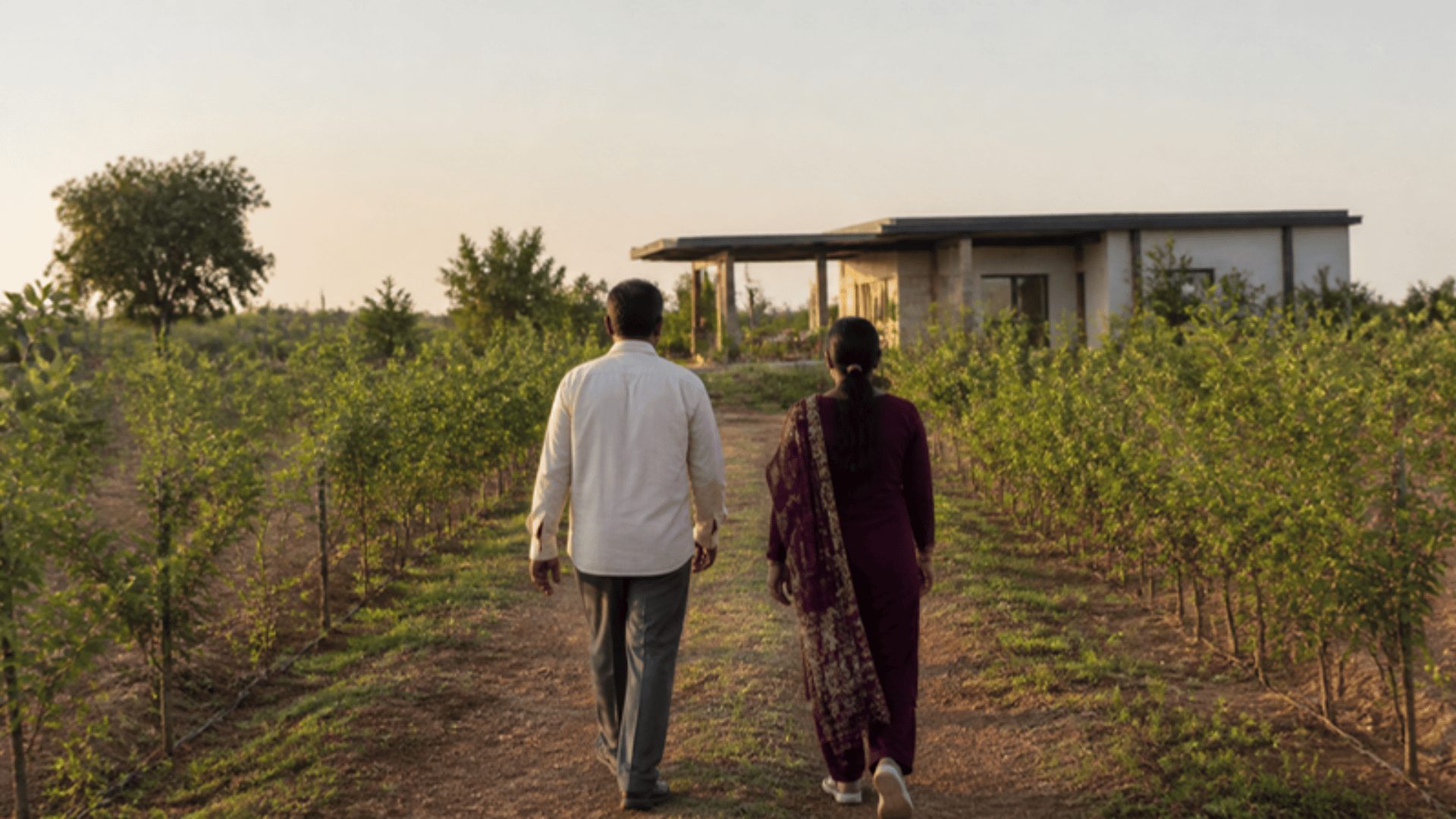 Investor walkthrough of an agricultural land venture during farmland marketing near Hyderabad
