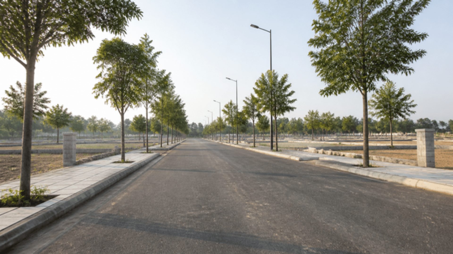 Avenue plantation and street lights inside a gated layout marketed in Hyderabad
